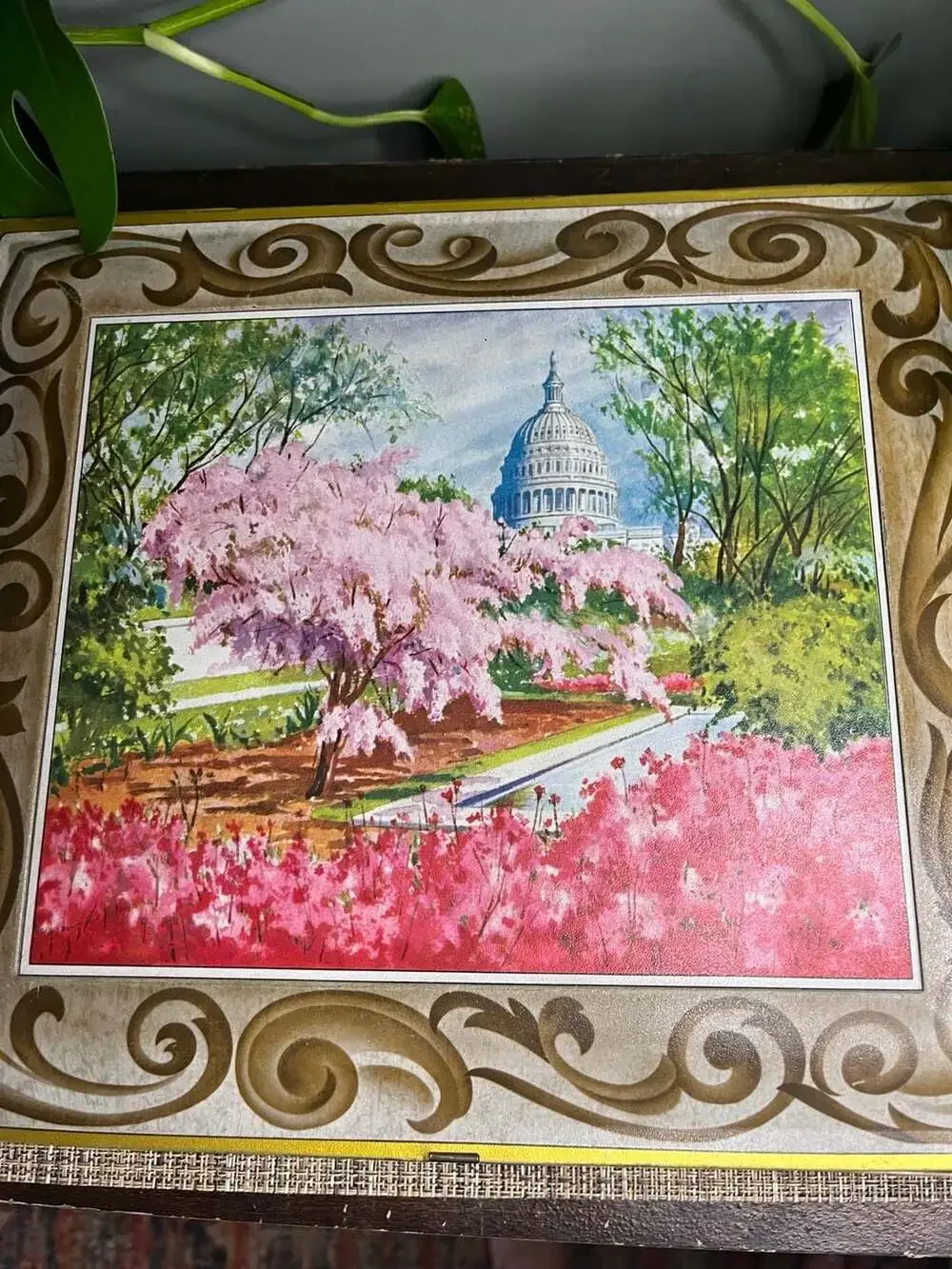 Vintage Sunshine Biscuits Washington D.C. Large Hinged Tin Cherry Blossoms & Cap